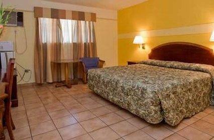 Gables Inn Coral Gables Værelse billede